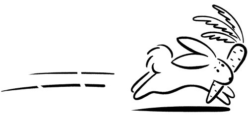 Conejo con zanahoria